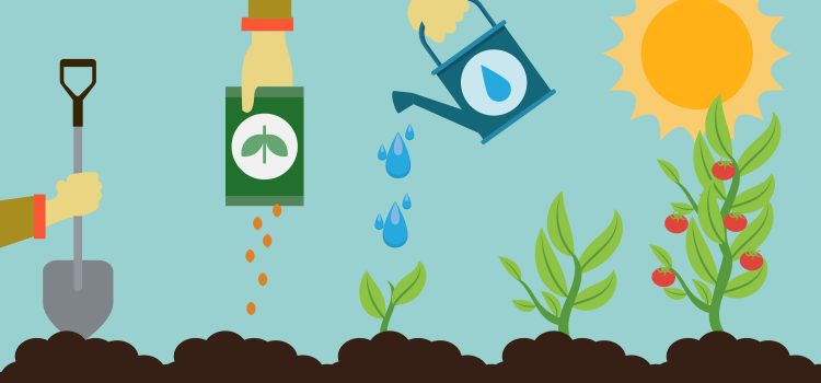 Gübrelemede Dikkat Edilecek Genel Hususlar